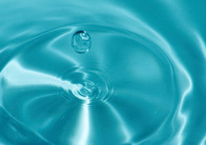 Lee más sobre el artículo VICEVERSA 24