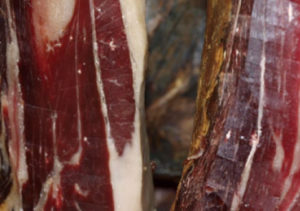 Lee más sobre el artículo VICEVERSA 37