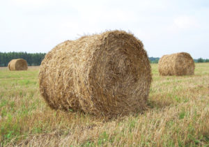 Lee más sobre el artículo VICEVERSA 44