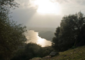 Lee más sobre el artículo VICEVERSA 49