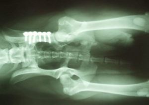 Lee más sobre el artículo VICEVERSA 51