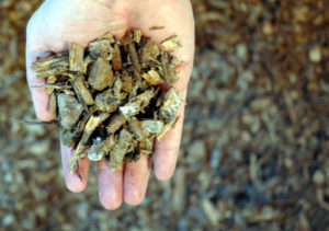 Lee más sobre el artículo VICEVERSA 52