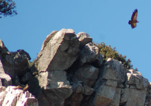 Lee más sobre el artículo VICEVERSA 61