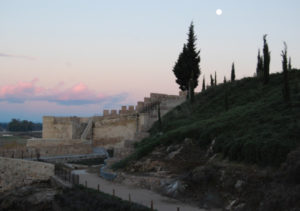 Lee más sobre el artículo VICEVERSA 63