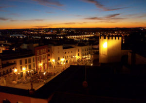 Lee más sobre el artículo VICEVERSA 65