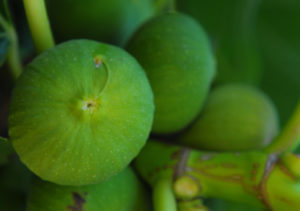 Lee más sobre el artículo VICEVERSA 67