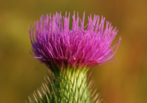 Lee más sobre el artículo VICEVERSA 41