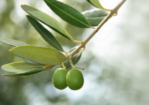 Lee más sobre el artículo VICEVERSA 43