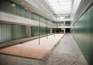 Lee más sobre el artículo VICEVERSA 17