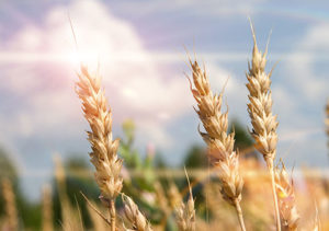 Lee más sobre el artículo VICEVERSA 22