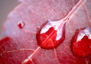 Lee más sobre el artículo VICEVERSA 23