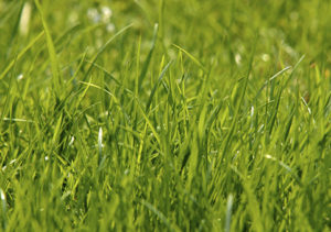 Lee más sobre el artículo VICEVERSA 30